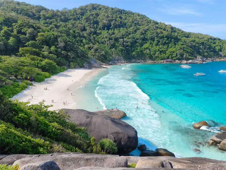 ���� �� ���������