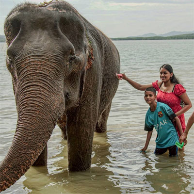 ������ � ������: ���� ����� � ��� �������� �������?